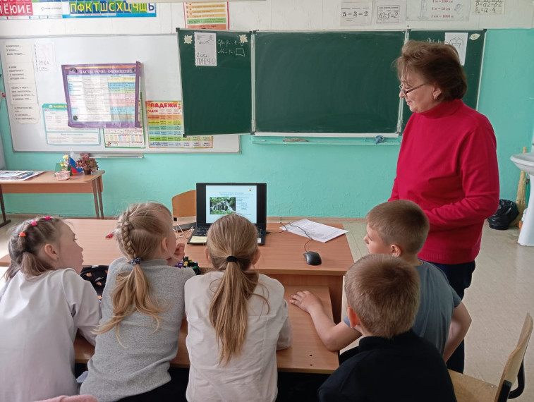 Загадки природы.